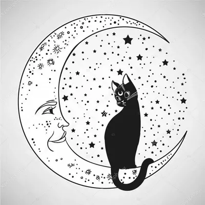 Лунный кот - Лунный кот – это персонаж из книги калининградской  писательницы. Лимитированным тиражом вышла первая книга серии, и в связи с  этим намечается... парадоксальная интересная игра. Каждый, кто получит  экземпляр с