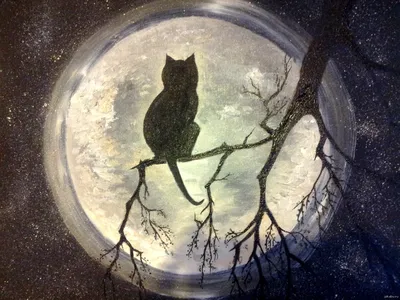 Лунный кот | Пикабу