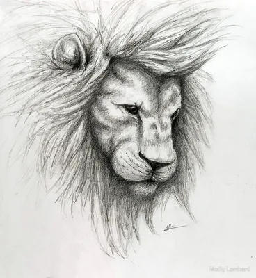 льва с рисунками на морде, картинка льва для раскрашивания, животное, лев  фон картинки и Фото для бесплатной загрузки