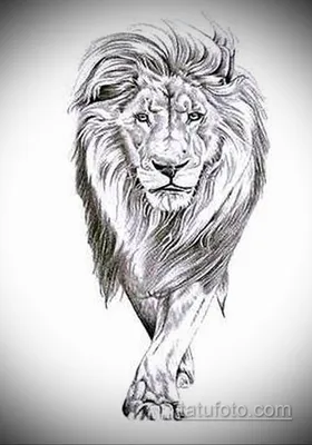 Как нарисовать льва карандашами | Разукрашка | Дзен