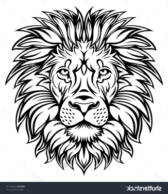 Рисунок льва с желтой полосой с надписью «лев». | Премиум Фото