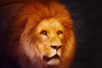 Как нарисовать льва | Художник Online | Дзен