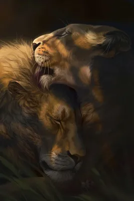 В зоопарке США львица убила отца своих троих детенышей - Российская газета