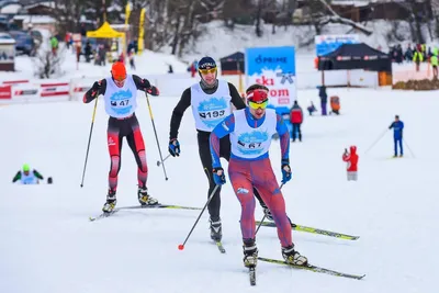 Самые интересные лыжи для фрирайда 2021-2022 — Блог «Спорт-Марафон»