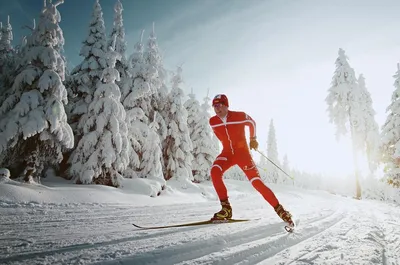 Распространенные травмы лыжных гонщиков: виды и причины -  SkiTeamRussiaSkiTeamRussia