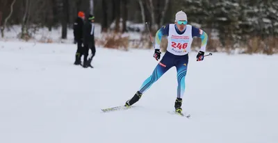 Лыжники считают Клебо и Иверсена самыми переоценёнными спортсменами на  Кубке мира
