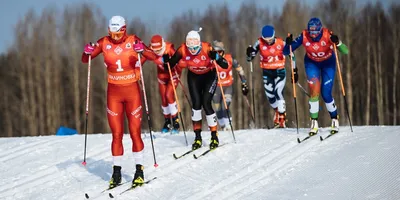 7 причин увлечься лыжным спортом, статья для начинающих лыжников —  Спортмастер Медиа