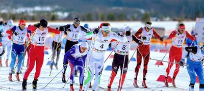 Конкуренция на российских лыжных соревнованиях выше, чем на этапах Кубка  мира» — призер ОИ Завьялов