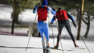 Про спортивные лыжи и дисциплины в горнолыжном спорте — Блог «Спорт-Марафон»