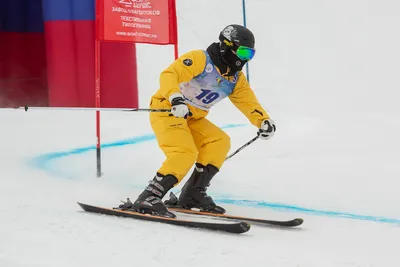 Норвежская звезда лыжного спорта за две недели получила столько же, сколько  за весь прошлый год (Iltalehti.fi, Финляндия) | 14.12.2022, ИноСМИ