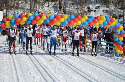 Управление физической культуры и спорта мэрии г. Новосибирска.