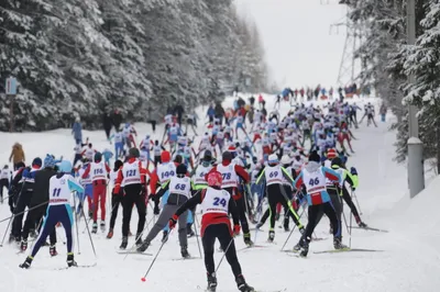 Лыжные гонки | УОР 1