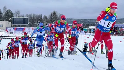 Orgeo: Школьная спартакиада- лыжные гонки - Инфо - События