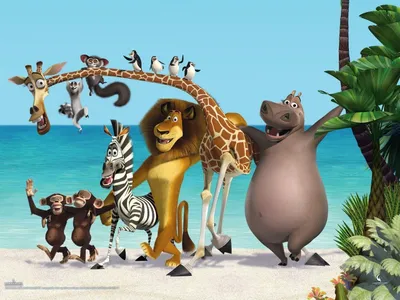 Обои: Мадагаскар / Обои мультфильма «Мадагаскар» (2005) #466211
