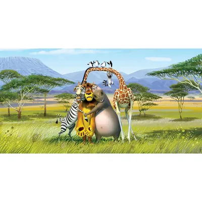 картина по номерам Мадагаскар - купить с доставкой по выгодным ценам в  интернет-магазине OZON (1191783156)
