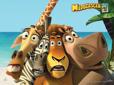Обои: Мадагаскар / Обои мультфильма «Мадагаскар» (2005) #466212