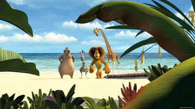 Обои Мультфильмы Madagascar, обои для рабочего стола, фотографии  мультфильмы, madagascar, зебра, бегемот, жираф, лев, мадагаскар Обои для  рабочего стола, скачать обои картинки заставки на рабочий стол.