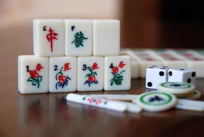 Маджонг (Mahjong) в боксе (корневая древесина), Philos, арт. 3166  (адаптированный) | Купить настольную игру (обзор, отзывы, цена) в Игровед