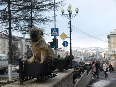 Люди, которые прославили Магадан