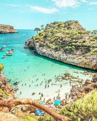 Palma de Mallorca - Discover Mallorca