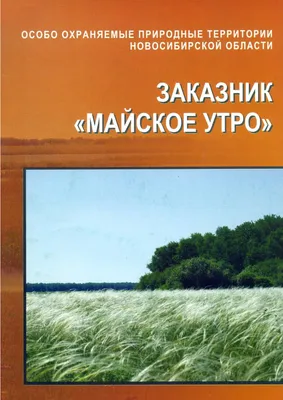 Купить вышивка бисером Чарiвна Мить Майское утро Б-668, цены на Мегамаркет  | Артикул: 100025957265