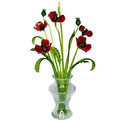 Цветы Маки Красные Кукурузные - Бесплатное фото на Pixabay - Pixabay