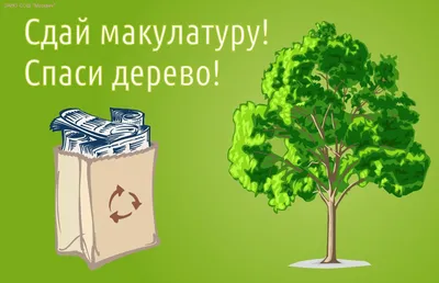 Как вывоз макулатуры из России стал проблемой национального масштаба -  Recycle