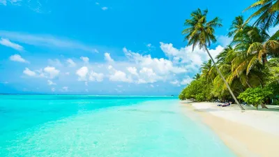 Мальдивы пляж\"
