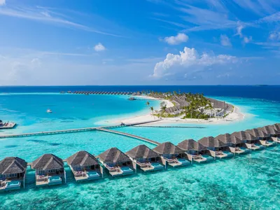 Какое море на Мальдивах, особенности отдыха в субтропиках, как добраться до  островов и как провести здесь идеальный пляжный отпуск — Яндекс Путешествия