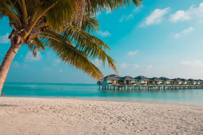 Мальдивы - цены на отдых дешевле Букинга, когда лучше ехать и какой  отель-остров выбрать, отзывы