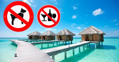Мальдивы в 2023 году: сколько стоит отдых, когда лучше ехать, как попасть,  когда сезон дождей, можно ли пить алкоголь