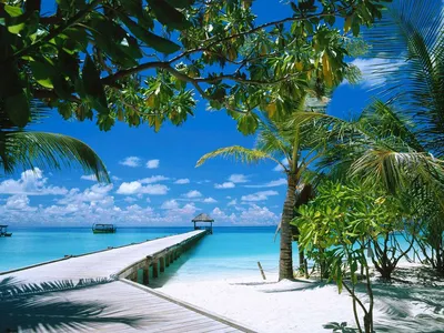 Мальдивы - путеводитель, туры, отели, билеты, экскурсии, кухня
