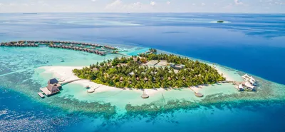 Чем заняться на Мальдивах: лучшие развлечения и цены