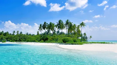 Туры в Мальдивы 2024 цены на отдых все включено | СКК \"Русь\"