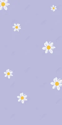 Маленькая маргаритка фиолетовый мобильный телефон обои, маленькие ромашки,  фиолетовый фон, белые цветы фон картинки и Фото для бесплатной загрузки