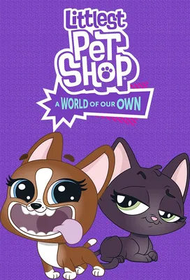 Аппликация для малышей - Маленький ЗооМагазин Petshop купить в  интернет-магазине игрушек Жирафка: цены, отзывы, характеристики