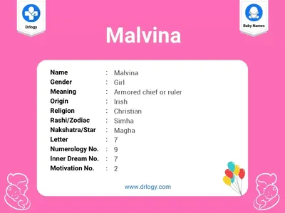 Malvina Halilaj - Co-Founder - SophiGen Hub | LinkedIn