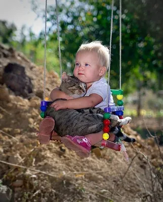 Дети и кошки. Смешные фотографии