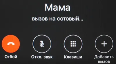 Мама звонит весь день через каждые два часа: «Ну как дела? Что нового?»