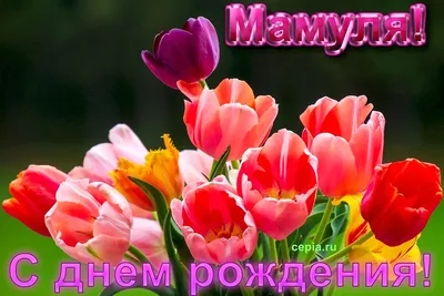 С Днем рождения мама - TheKIEV.city