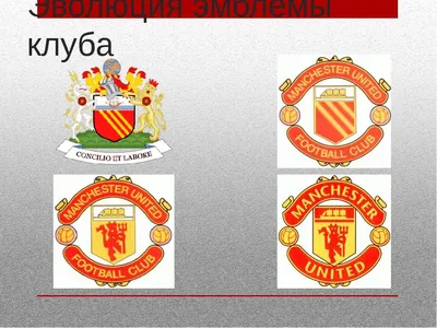 Футболка 2023-2024 Манчестер Юнайтед спец версия купить по цене 2 390 руб.  в магазине futurefootballshop.ru