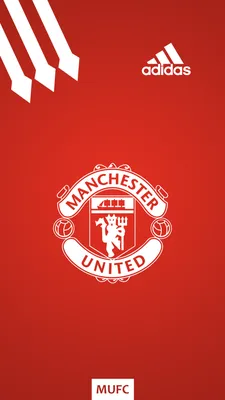 обои : Манчестер Юнайтед, футбол, Логотип, Простой фон 1440x2560 -  housewave - 1467163 - красивые картинки - WallHere