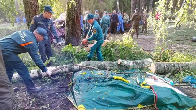 В Марий Эл отец и сын из полицейской династии задержали находившегося в  розыске эксгибициониста