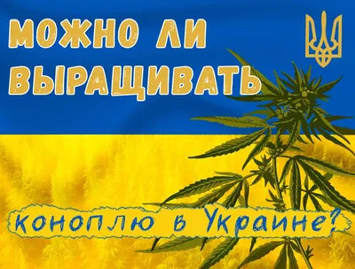 Лечение зависимости от марихуаны в Москве | Феникс