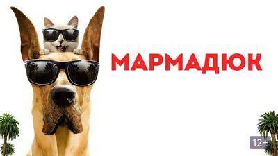 Вышел русский трейлер мультфильма-экранизации популярных комиксов про пса  Мармадюка - Российская газета