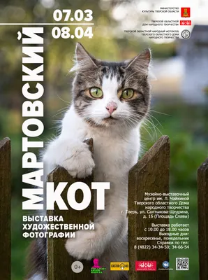 Мартовский кот который живёт в …» — создано в Шедевруме