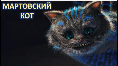 Купить почтовую открытку \"Мартовский кот\" М. Тюняева в интернет-магазине  Почтовое Бюро