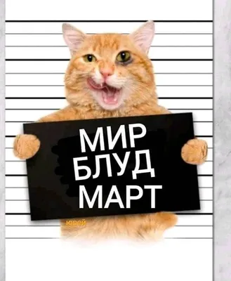 Мартовский кот» — создано в Шедевруме