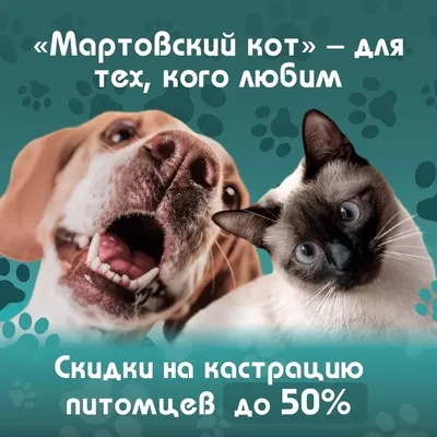 мартовский кот — optimavet.ru