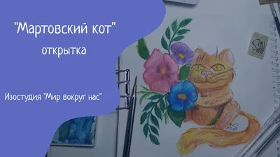 Симпатичный Кот Забавный Кот Забавный Мартовский Кот Кот Вне Дома —  стоковые фотографии и другие картинки Домашняя кошка - iStock